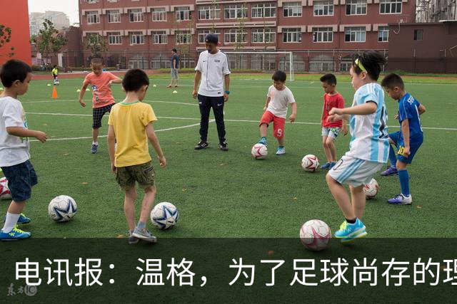 电讯报：温格，为了足球尚存的理智，请参加下届国际足联主席竞选